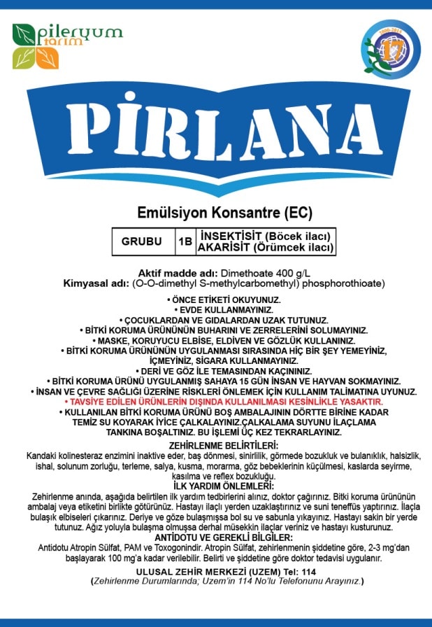 PİRLANA